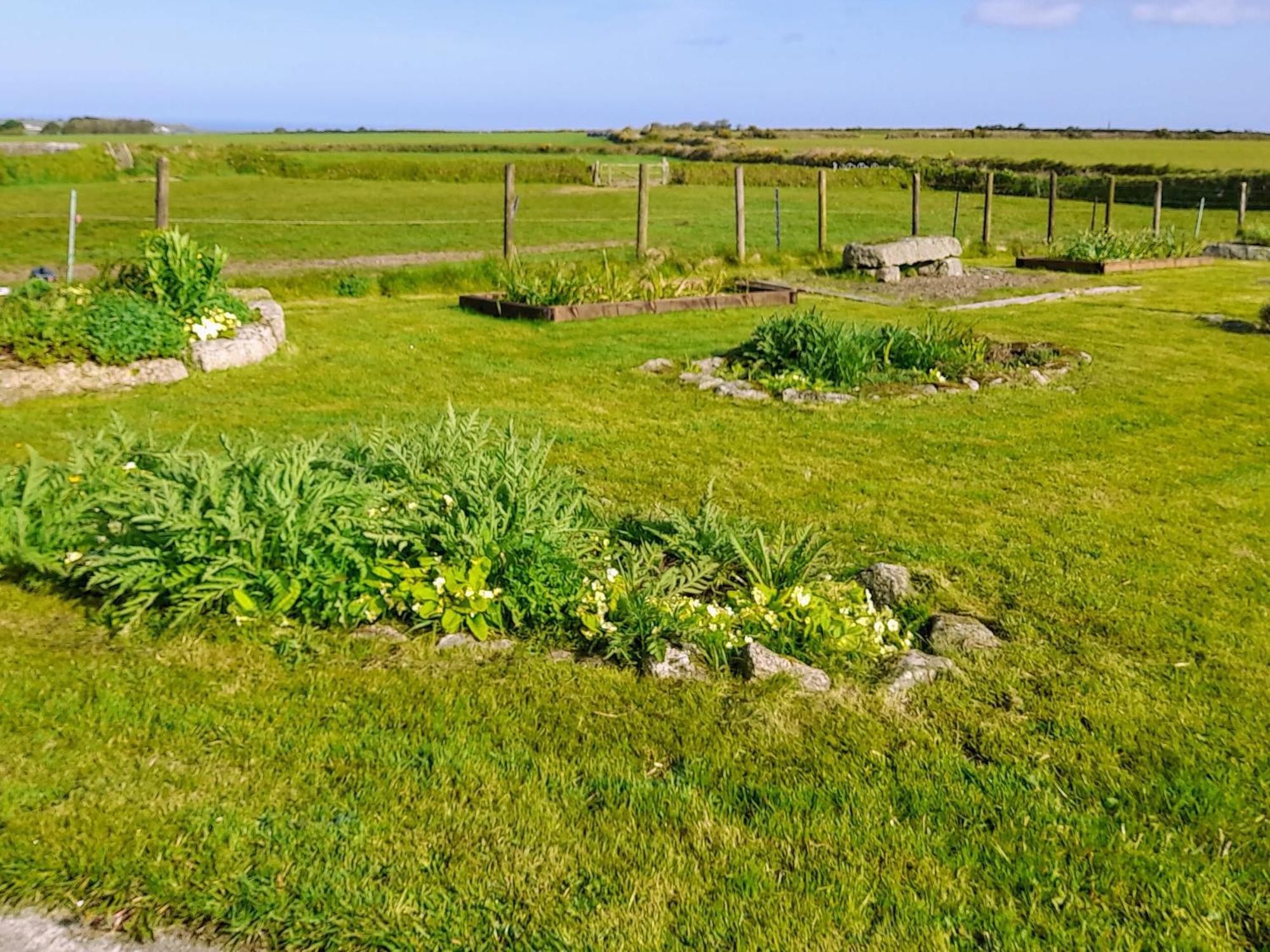 Ash Tree Cottage Carnbrea Екстер'єр фото